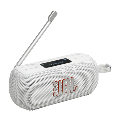 Image of JBL Tuner 3